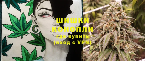 гидропоника Алзамай